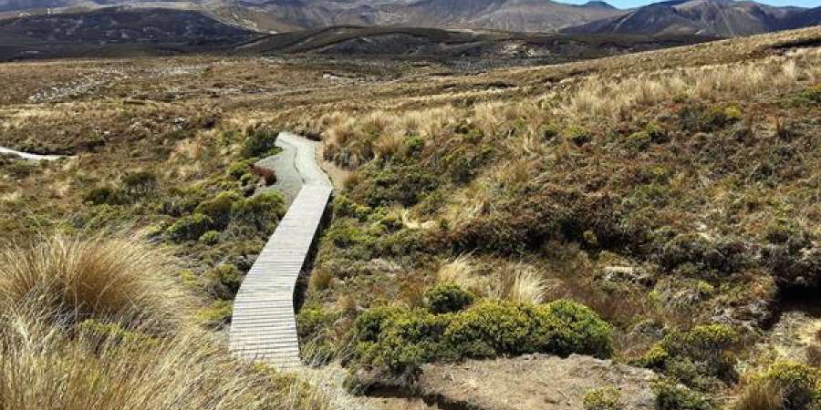 National Park Villages, blog post, Great Walks In Tongariro National Park (Apart From The Crossing), Great Walks In Tongariro National Park (Apart From The Crossing) - Great Walks In Tongariro National Park (Apart From The Crossing)
